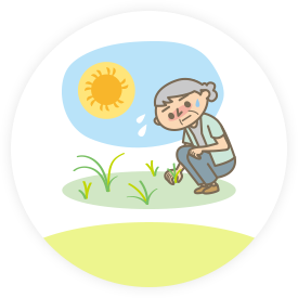 庭の草取り